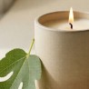 Bougie parfumée Figuier — gros plan sur la matière