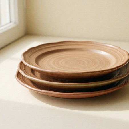 Assiettes Terre, lot de 4 — vue de trois quarts