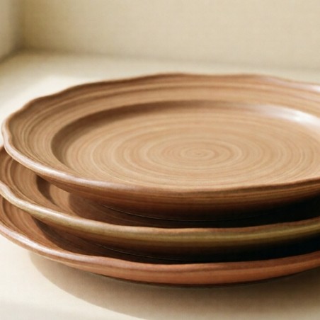 Assiettes Terre, lot de 4 — détail